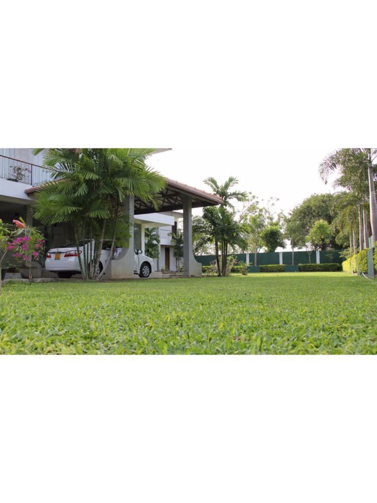 Lake Wind Hotel تيساماهاراما المظهر الخارجي الصورة